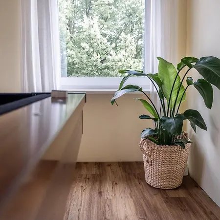 Living Timeless- Europa Park- קיפנהיים