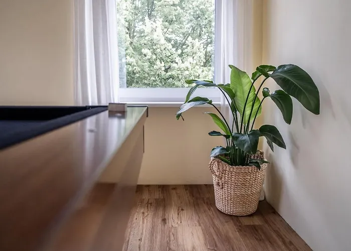 Living Timeless- Europa Park- Kippenheim